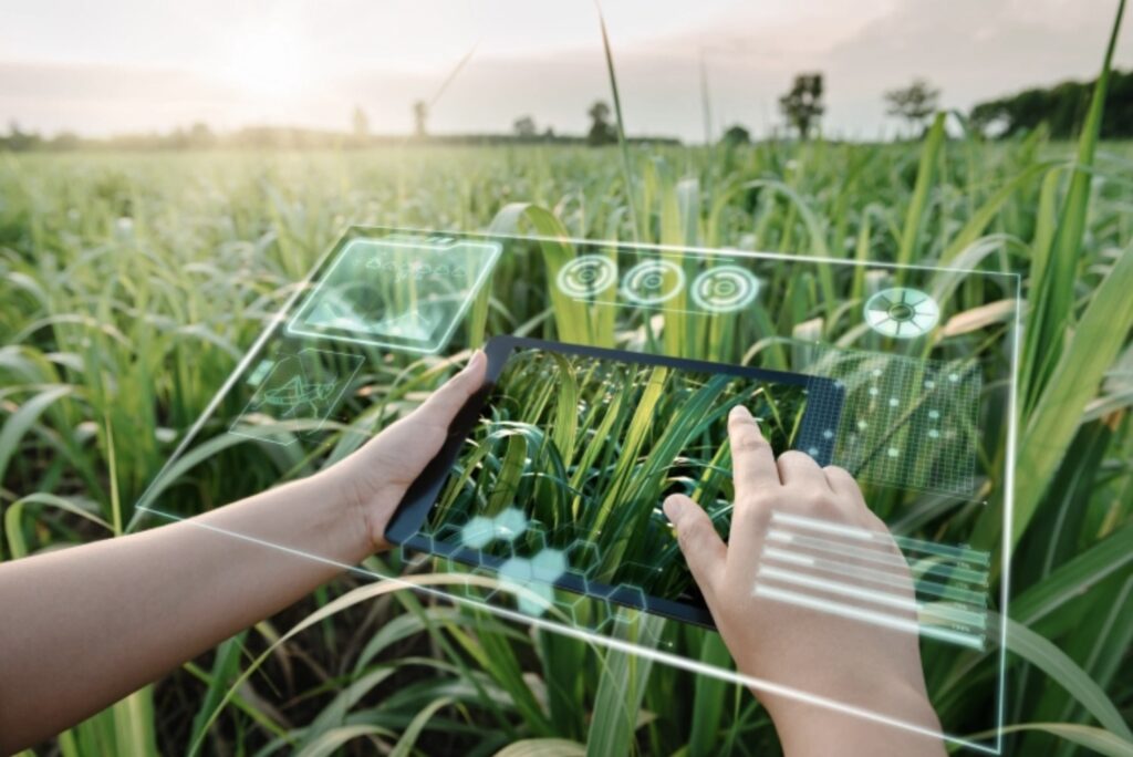 AI in Agricultural Education