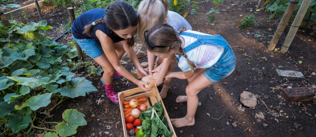 Smart Kids Love School Garden Nutrition