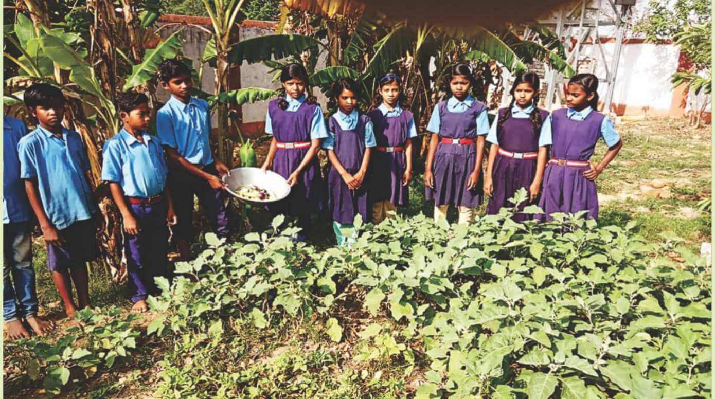 What Is School Garden Nutrition?